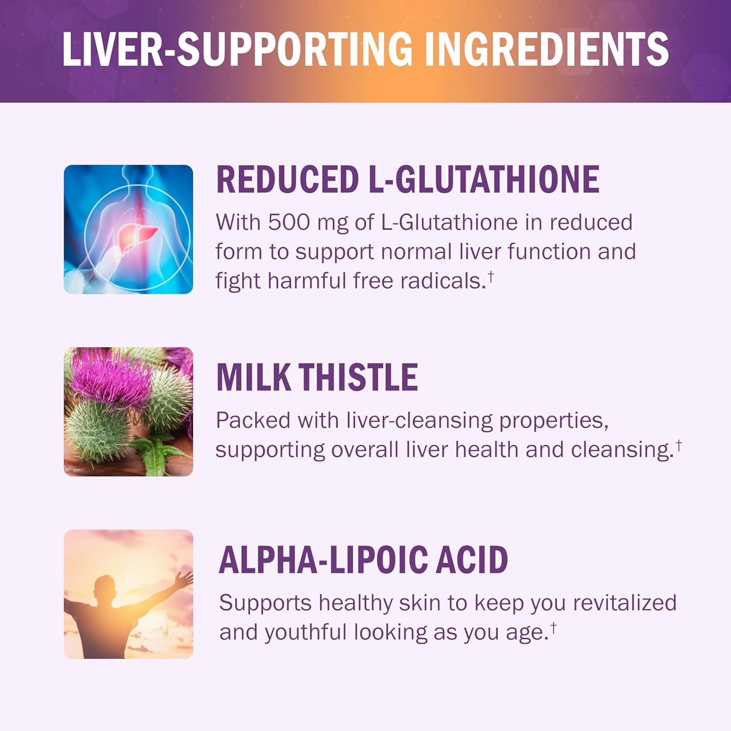 image:imageBioSchwartz Glutathione Supplement 500mg Liver Detox with Quercetin Vitamin C Milk Thistle Alpha Lipoic Acid Immune Support Pill Enhanced Immunity Defense Health Formula 60 Capsules30 Count Pack of 1