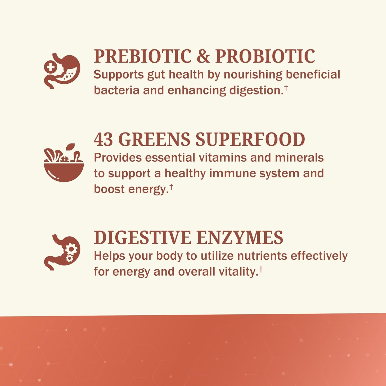 image:imageBioSchwartz Greens Powder Super Greens with Probiotics Prebiotics Digestive Enzymes amp 43 Green Superfoods Chlorophyll Bilberry Chlorella Spirulina Tastes Amazing 30 Servings67 Ounce Pack of 1