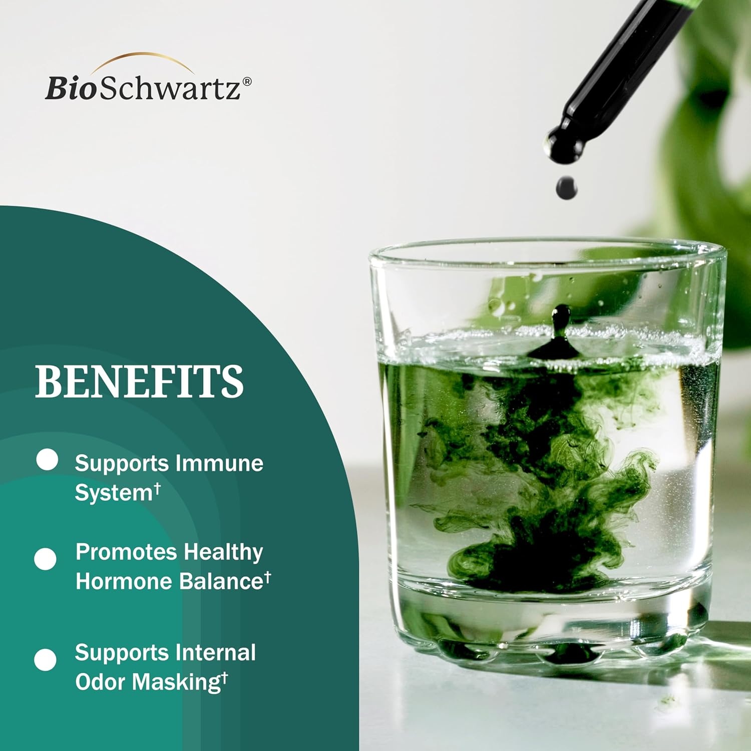 image:imageBioSchwartz Liquid Chlorophyll for Women with Copper for Immune Support Skin Health and Internal Deodorizer Liquid Chlorophyll Supplement Drops for Women Third Party Tested 118 Servings