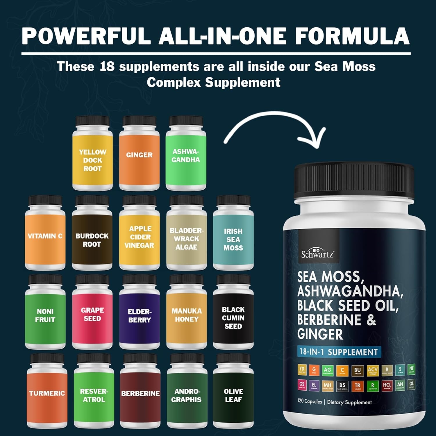 image:imageBioSchwartz Sea Moss Black Seed Oil Ashwagandha Ginger Supplement with Turmeric Berberine HCI Burdock Bladderwrack Resveratrol Elderberry Manuka Honey Apple Cider Vinegar ACV 120 Sea Moss Capsules120 Count Pack of 1