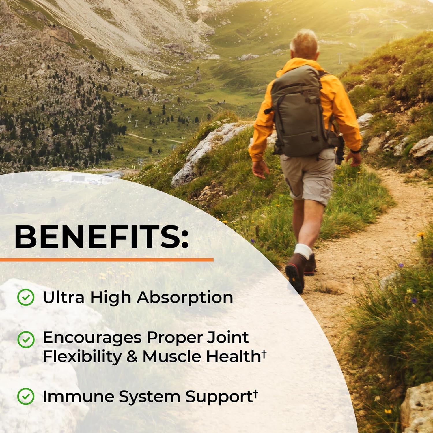image:imageTurmeric Curcumin with Black Pepper Extract 1500mg High Absorption Ultra Potent Turmeric Supplement with 95 Curcuminoids and BioPerine Non GMO Tumeric Capsules for Joint Support 90 CapsulesUnflavored