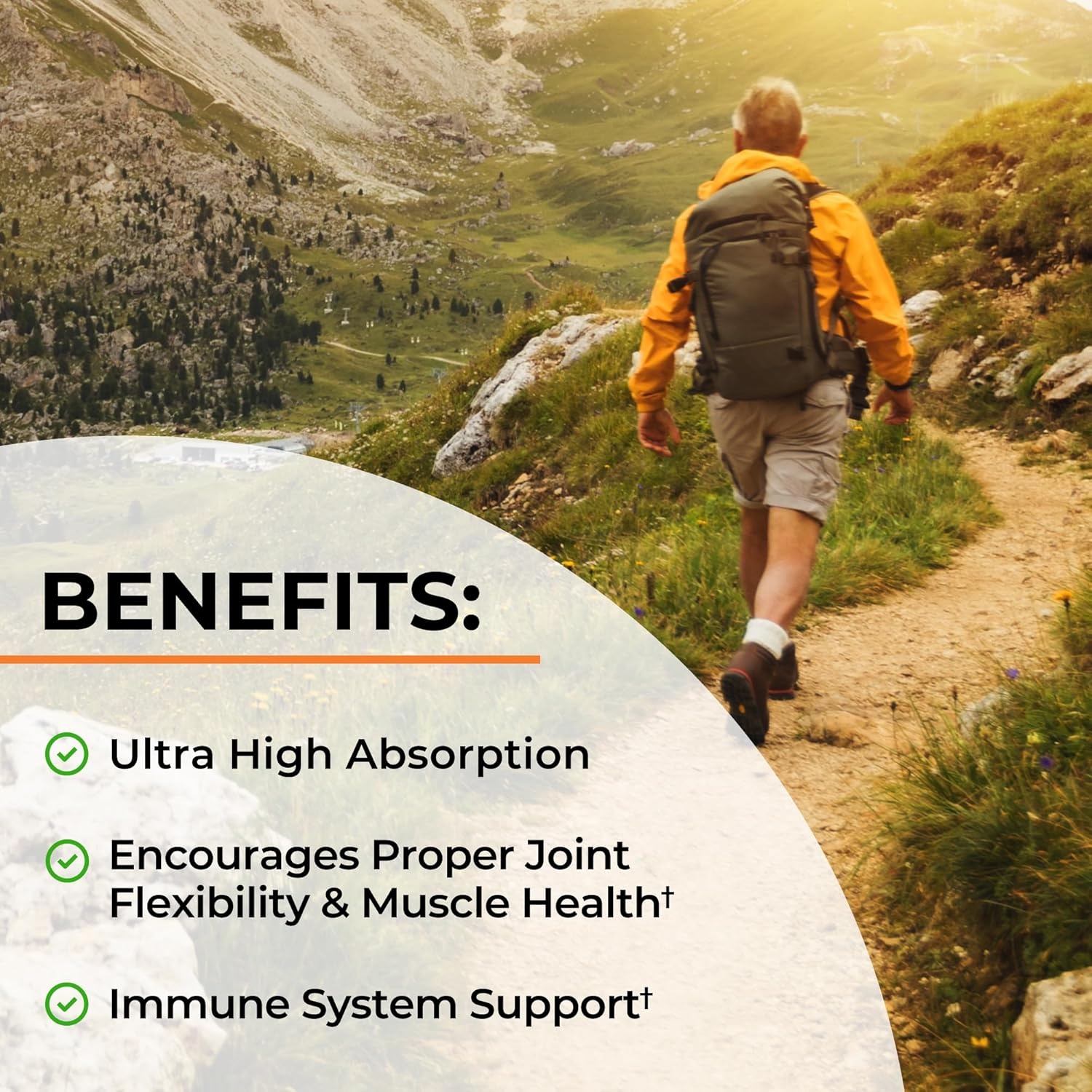 image:imageTurmeric Curcumin with Black Pepper Extract 1500mg High Absorption Ultra Potent Turmeric Supplement with 95 Curcuminoids and BioPerine Non GMO Tumeric Capsules for Joint Support 90 CapsulesUnflavored