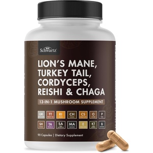 BioSchwartz 13-in-1 Mushroom Complex Capsules – Organic Mushroom Supplement with Lions Mane, Chaga, Reishi, Cordyceps – Supports Focus, Energy, Immune System – with BioPerine for Absorption, 90 Count(90 Count (Pack of 1))